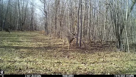 tbd 250th St, Mahnomen, MN 56557 photo 23