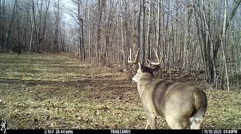 tbd 250th St, Mahnomen, MN 56557 photo 3