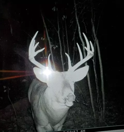 tbd 250th St, Mahnomen, MN 56557 photo 31
