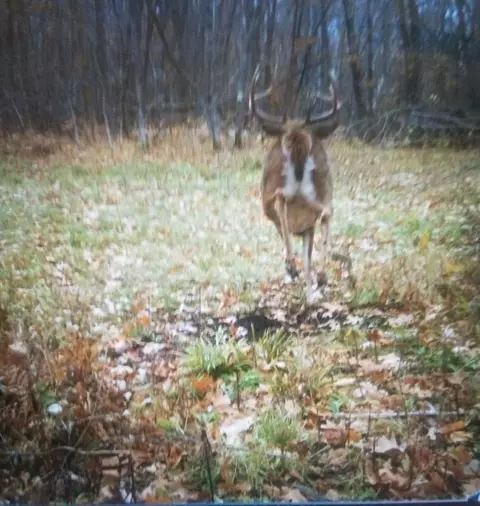 tbd 250th St, Mahnomen, MN 56557 photo 6