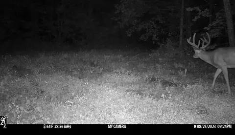 tbd 250th St, Mahnomen, MN 56557 photo 33