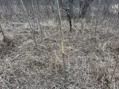 tbd 250th St, Mahnomen, MN 56557 photo 45