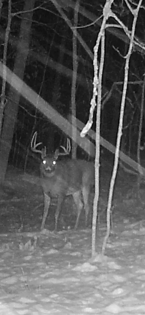 tbd 250th St, Mahnomen, MN 56557 photo 8