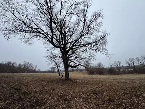 tbd 250th St, Mahnomen, MN 56557 photo 49