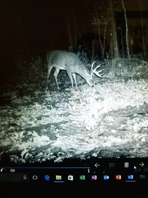 tbd 250th St, Mahnomen, MN 56557 photo 35