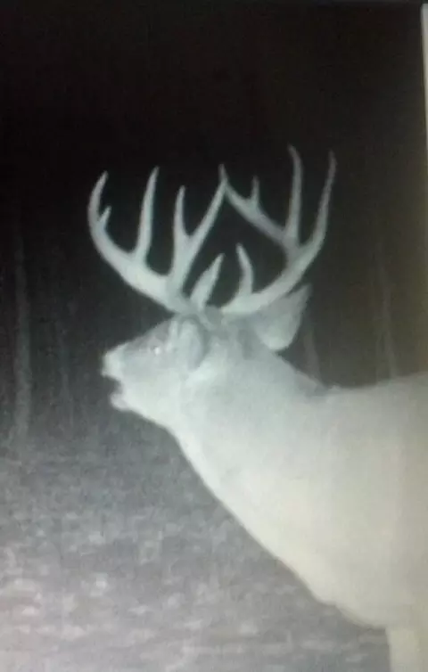 tbd 250th St, Mahnomen, MN 56557 photo 18