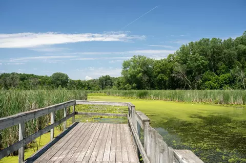 20076 66th Pl, Corcoran, MN 55340 photo 22