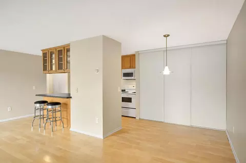 4110 Rahn Rd #113, Eagan, MN 55122 photo 11