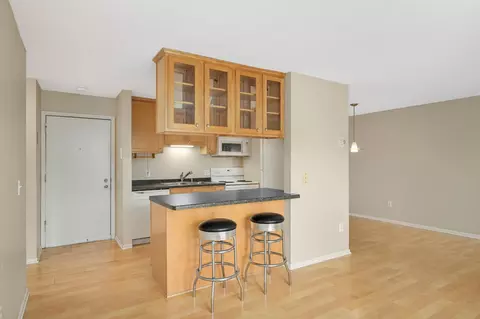 4110 Rahn Rd #113, Eagan, MN 55122 photo 4