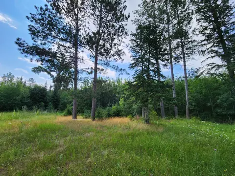 18575 State 34, Park Rapids, MN 56470 photo 6