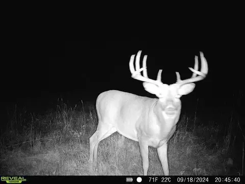79 61 Acres 83rd Ave SW, Verndale, MN 56481