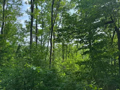 Other - 8259 148th Ave SE, Becker, MN 55308 photo 12 of 17