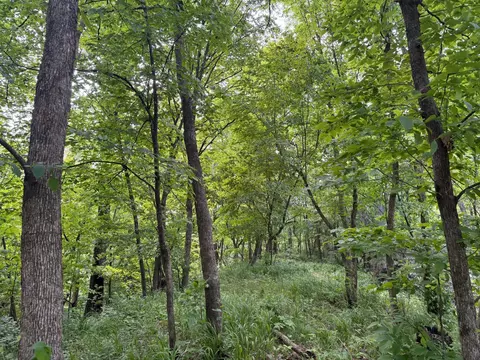 Other - 8259 148th Ave SE, Becker, MN 55308 photo 11 of 17