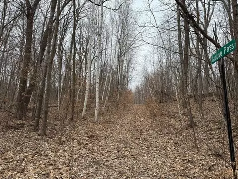 lot S 51-53 55 61 Grouse Pass, Randall, MN 56475