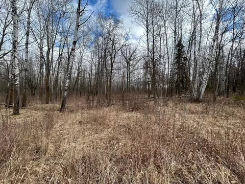 tbd 48th Ave, Pine River, MN 56474