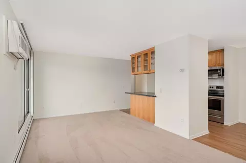 4110 Rahn Rd #312, Eagan, MN 55122 photo 8