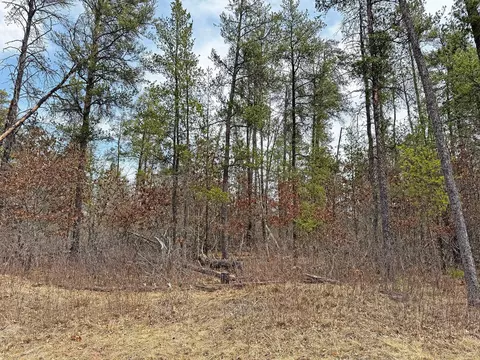 Nnn Lot 20 Middle Road, Minong, WI 54859