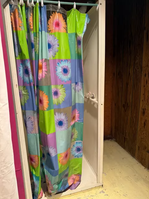 Bath - 321 E 4th St, Albert Lea, MN 56007 photo 3 of 3
