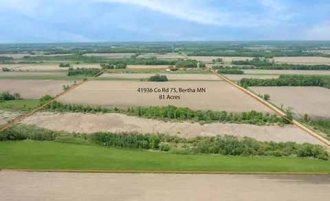 View/Area - 41936 County 75, Bertha, MN 56437 photo 5 of 5