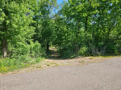 Exterior - tbd Cr-13 Rd, Grey Eagle, MN 56336 photo 3 of 4