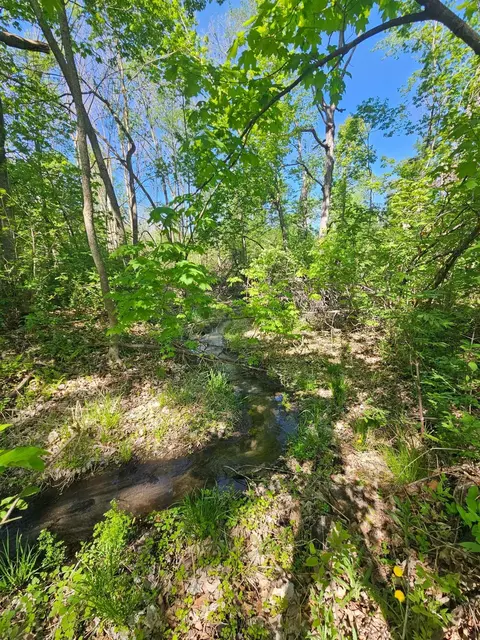 Other - tbd Cr-13 Rd, Grey Eagle, MN 56336 photo 4 of 13