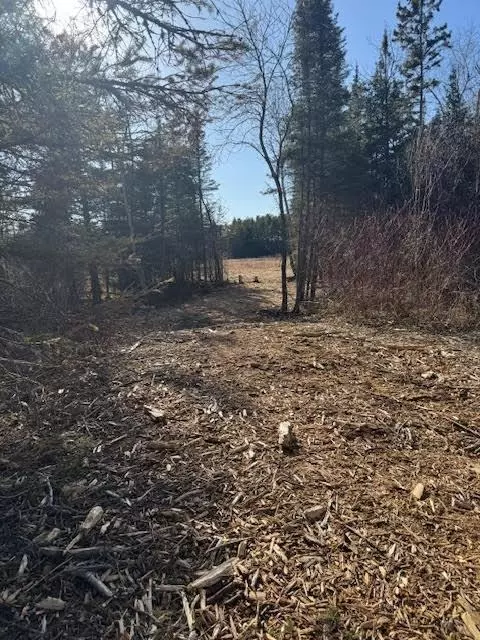 5797 N Shore Dr Duluth Mn 55804, Duluth, MN 55804 photo 6