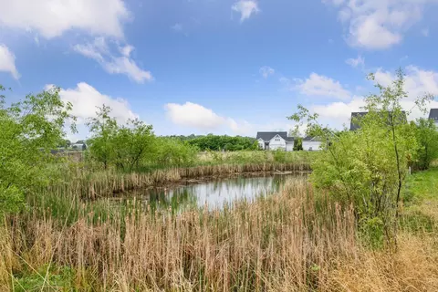 19253 99th Pl, Rogers, MN 55374 photo 37
