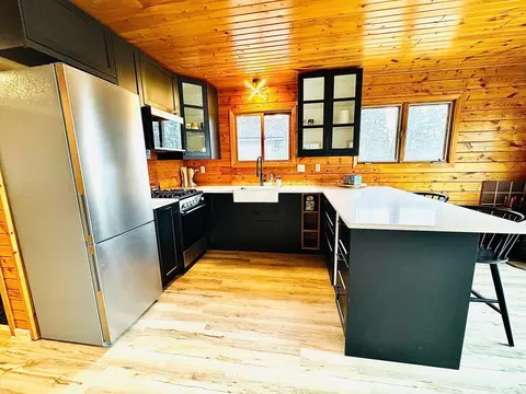 Kitchen - 41820 Bald Eagle Dr, Bigfork, MN 56628 photo 4 of 7