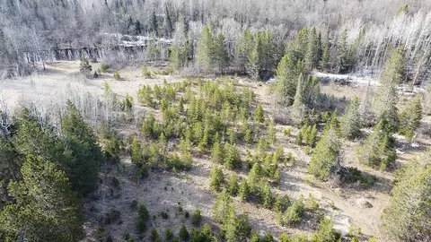 tbd Hwy 115, Owens Twp, MN 55723