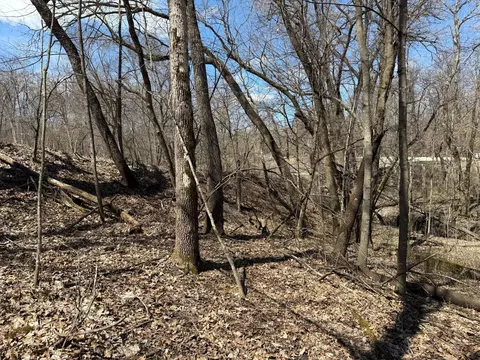 tbd Olive Rd, Spring Valley, MN 55975 photo 31