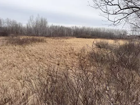 64535 Fleming Rd, Bruno, MN 55712 photo 6