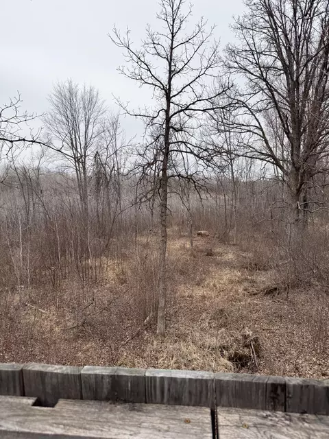 64535 Fleming Rd, Bruno, MN 55712 photo 5