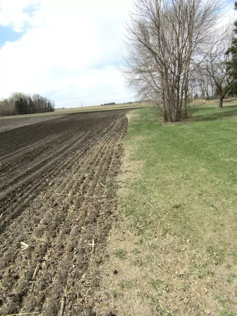 Other - 110 90th St SE, Maynard, MN 56260 photo 27 of 29