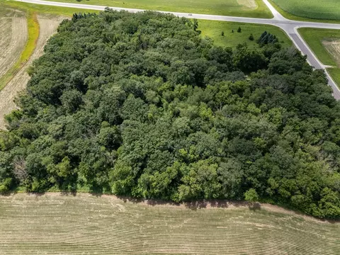 34126 County 115, Harmony, MN 55939 photo 53
