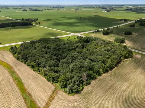 34126 County 115, Harmony, MN 55939 photo 54