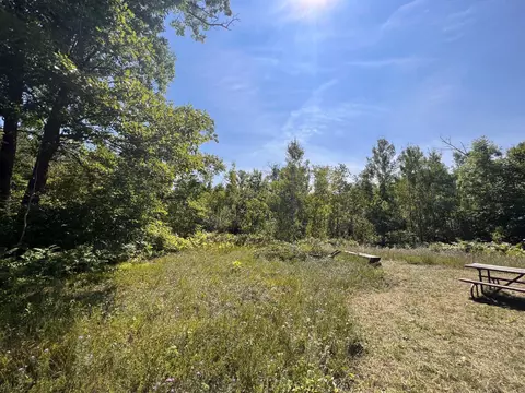 tbd Highway 65, Ford Twp, MN 56342