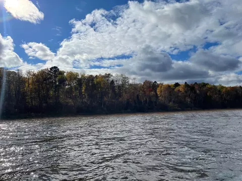 tbd Forest Road 2196e, Squaw Lake, MN 56681