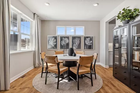 886 Laurel Ct, Chaska, MN 55318 photo 12