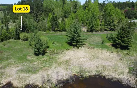 80054 Tamarack Trl, Tower, MN 55790