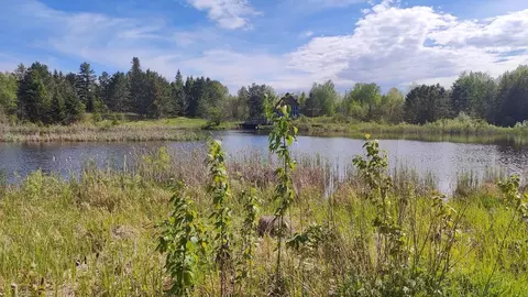 80048 Tamarack Trl, Tower, MN 55790 photo 8