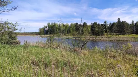 80048 Tamarack Trl, Tower, MN 55790 photo 9