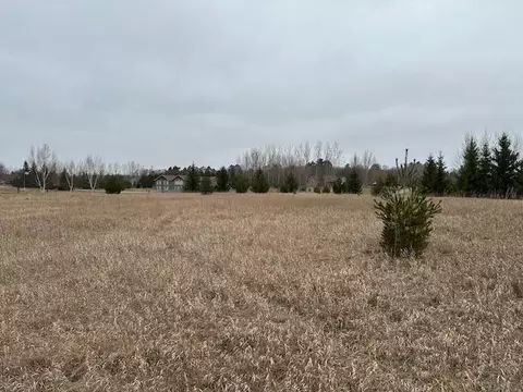tbd Tavistock Rd NW, Bemidji, MN 56601