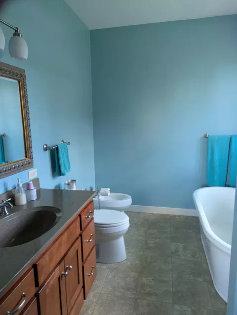 Bath - 68886 215th St, Darwin, MN 55324 photo 1 of 4