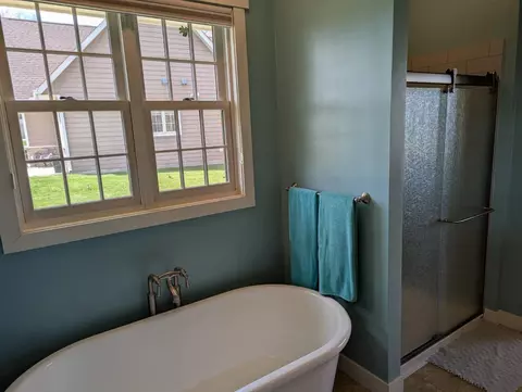 Bath - 68886 215th St, Darwin, MN 55324 photo 2 of 4