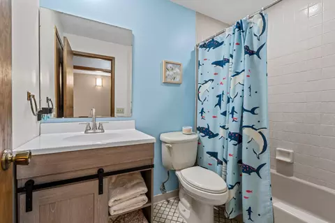 Bath - 3685 Birchpond Rd, Eagan, MN 55122 photo 3 of 3