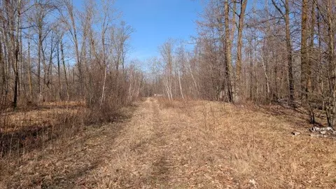 tbd Lacy Ln, Pequot Lakes, MN 56472