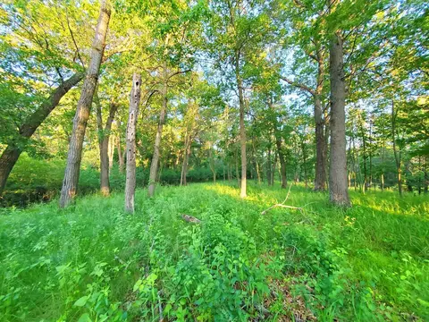 Nnn Lot 3 Chestnut Street, Marine On Saint Croix, MN 55047