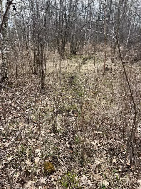 tbd Ivy Rd, Milaca, MN 56353 photo 28