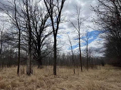 tbd Ivy Rd, Milaca, MN 56353 photo 30