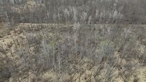 tbd Ivy Rd, Milaca, MN 56353 photo 26